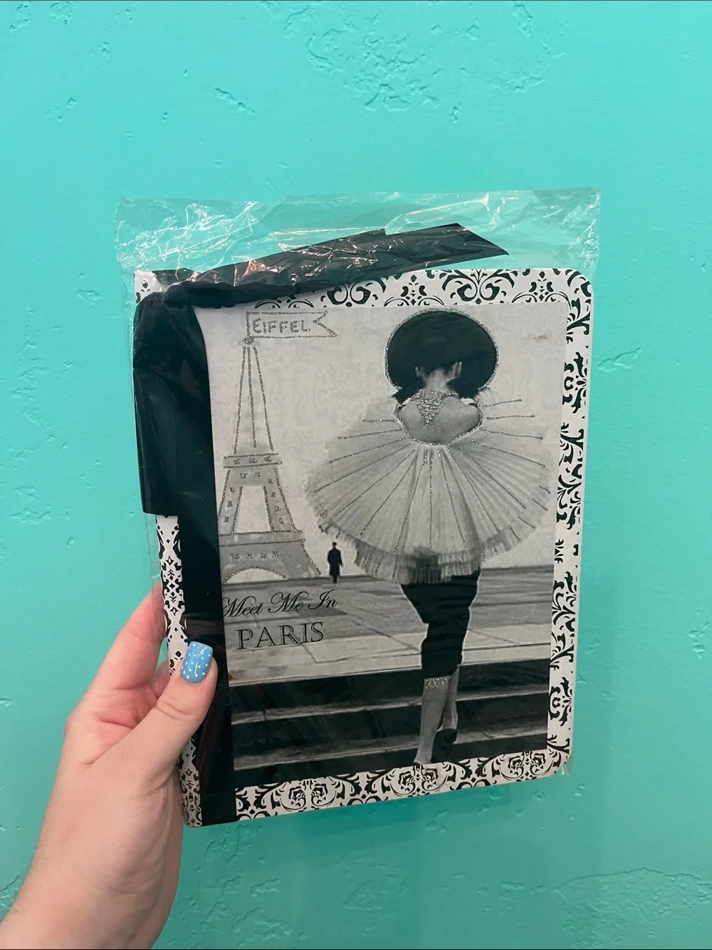 Parisian Black & White Decorative Journal
